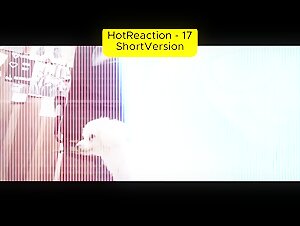 Model V17 to V25